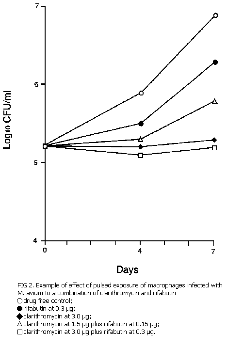 Figure 2: Example of effect of pulsed exposure of macrophages infected with M. avium to a combination of clarithromycin-rifabutin
